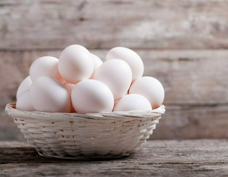 The eggs that you eat – Myths and facts
