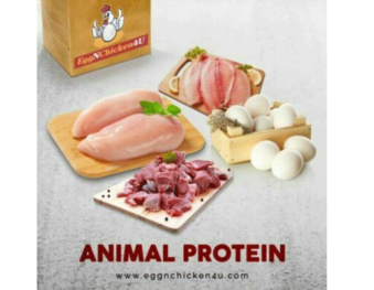 Benefits of animal protein: Its advantages for the young and old