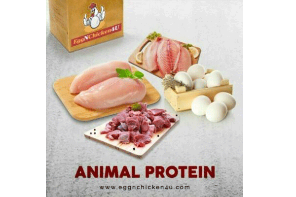 Benefits of animal protein: Its’ advantages for the young and old