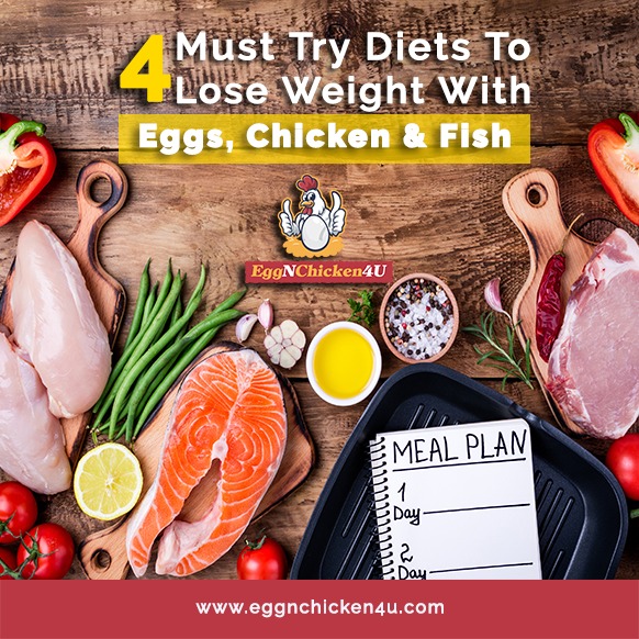 4 must-try diets to lose weight with eggs, chicken and fish