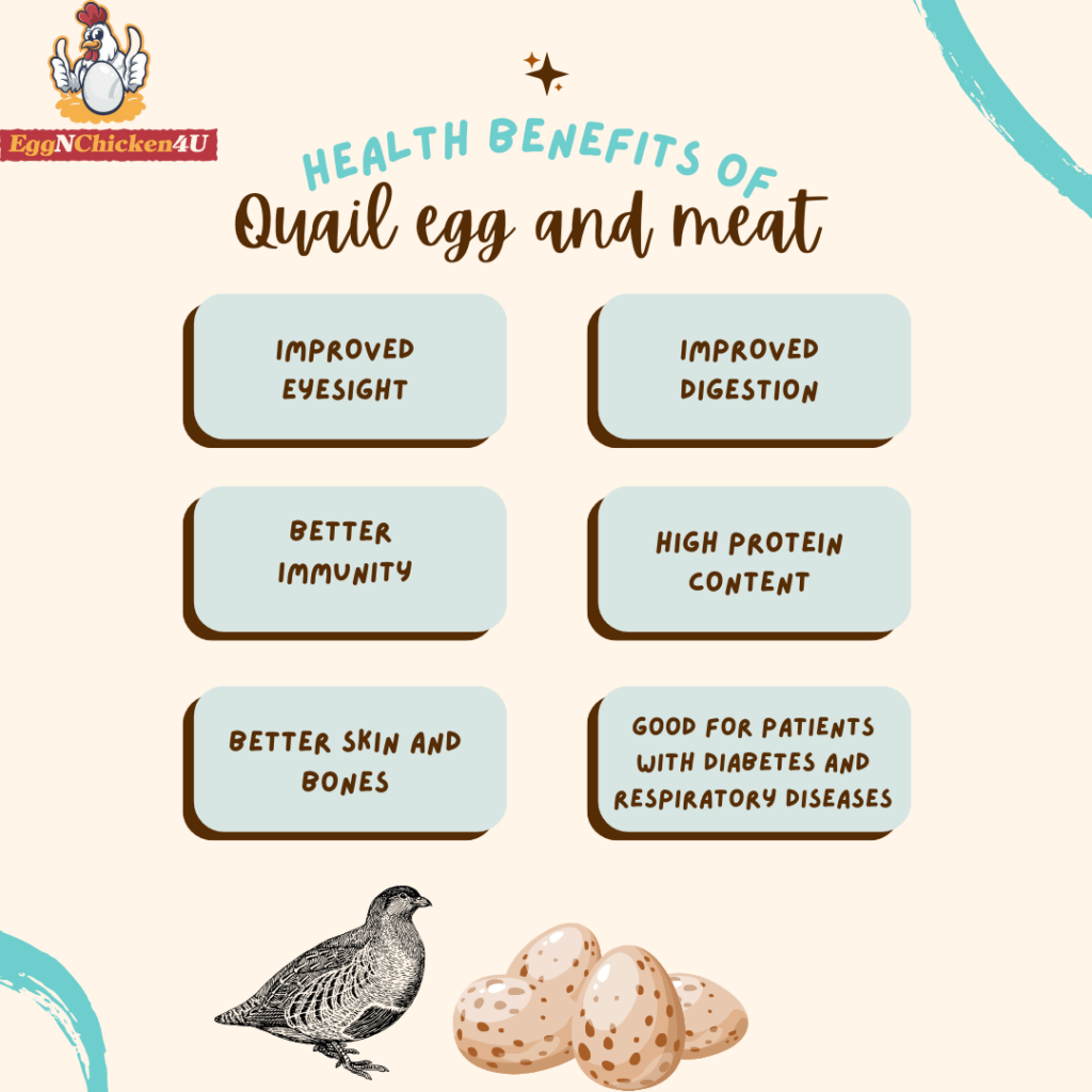 Benefits of quail egg and meat
