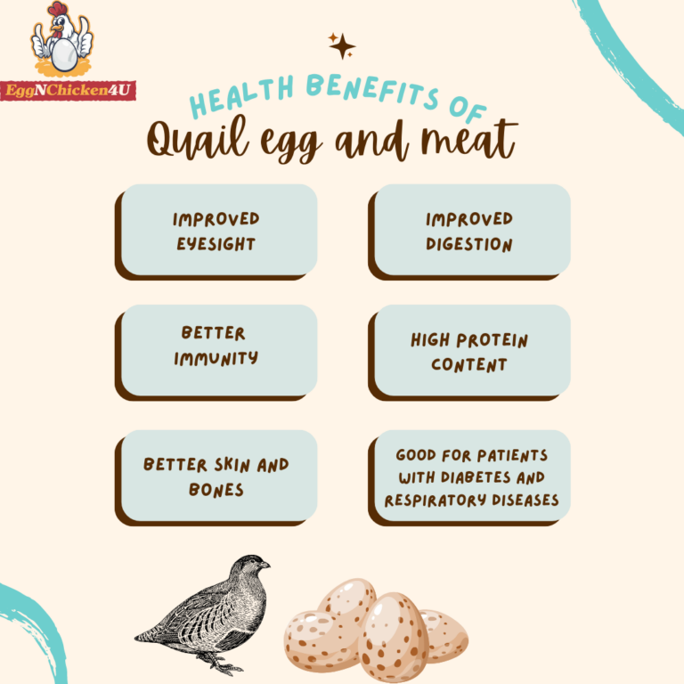 Quail Egg And Meat Rules The Nutritional Spectrum Here Is Why