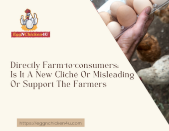 Directly – Farm-to-consumers: Is It A New Cliché Or Misleading Or Support The Farmers